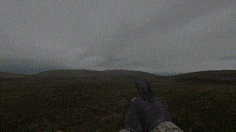 Enhanced Recoil - Gold Edition