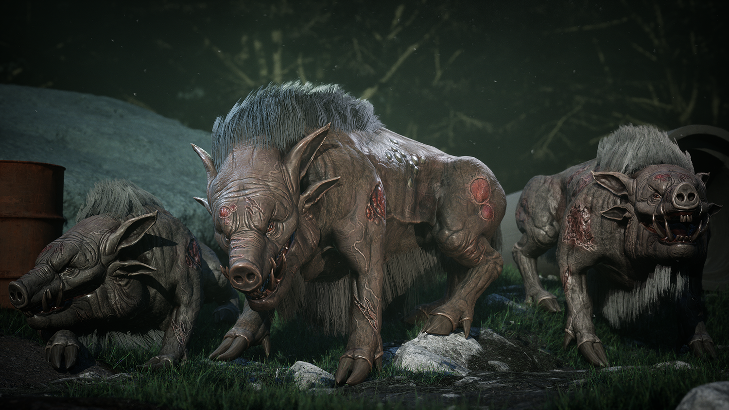 Alternative Boars