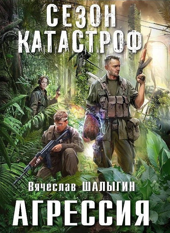 Вячеслав Шалыгин «Агрессия»