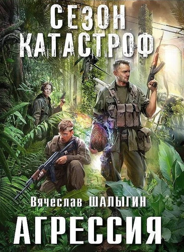 Вячеслав Шалыгин «Агрессия» скриншот
