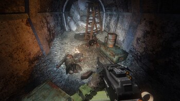 Скриншот Упавшая звезда. Честь наёмника - Definitive Edition (OGSR) PC
