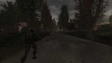 S.T.A.L.K.E.R: С небес на землю скриншот