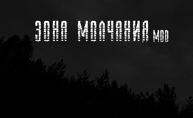 S.T.A.L.K.E.R.: Зона Молчания (RePack) PC