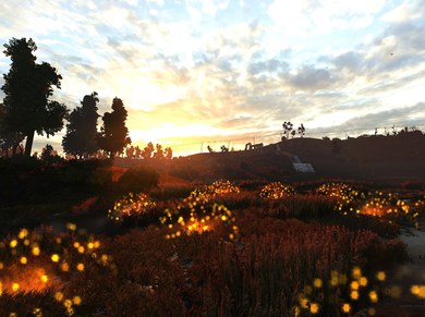 ANOMALY※MEDIUM (RePack) PC скриншот
