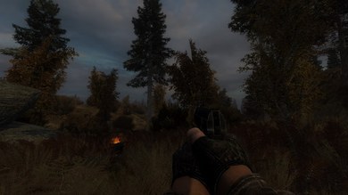 История Борова - OGSR Engine (RePack) PC скриншот