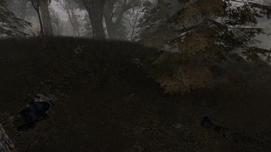 История Путника: Загадка Чёрного озера (RePack) PC скриншот