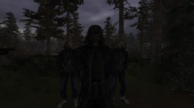 S.T.A.L.K.E.R.: Исповедь выжившего (RePack) PC скриншот