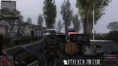 S.T.A.L.K.E.R.: FUR ELISE (RePack) PC скриншот