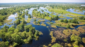 Флора и ландшафты При...