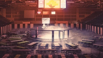 Тотал раундов в MMA: как стил...