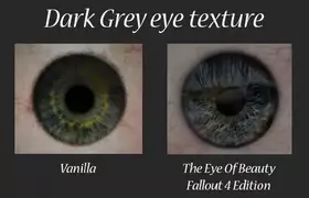 The Eyes Of Beauty Fallout Edition скриншот