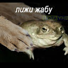 Гришка_туз